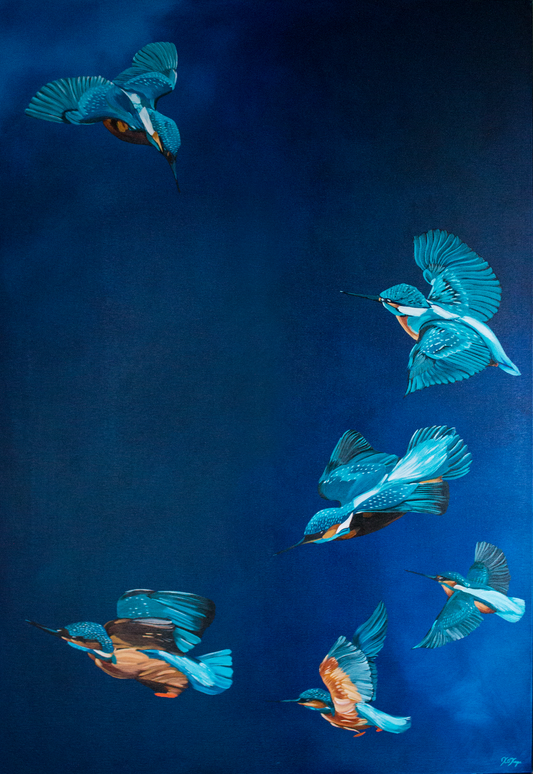 Flight of the Kingfishers
