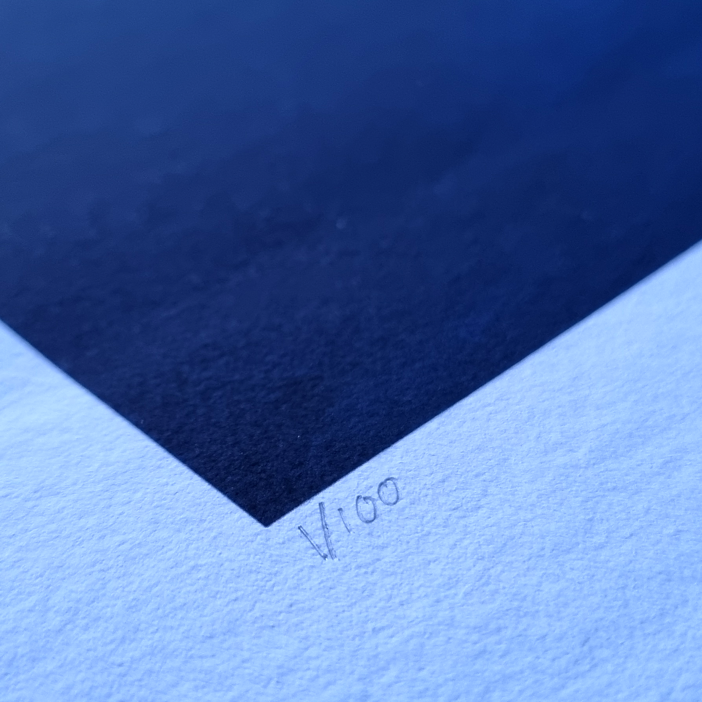 Kingfisher No.2 Print