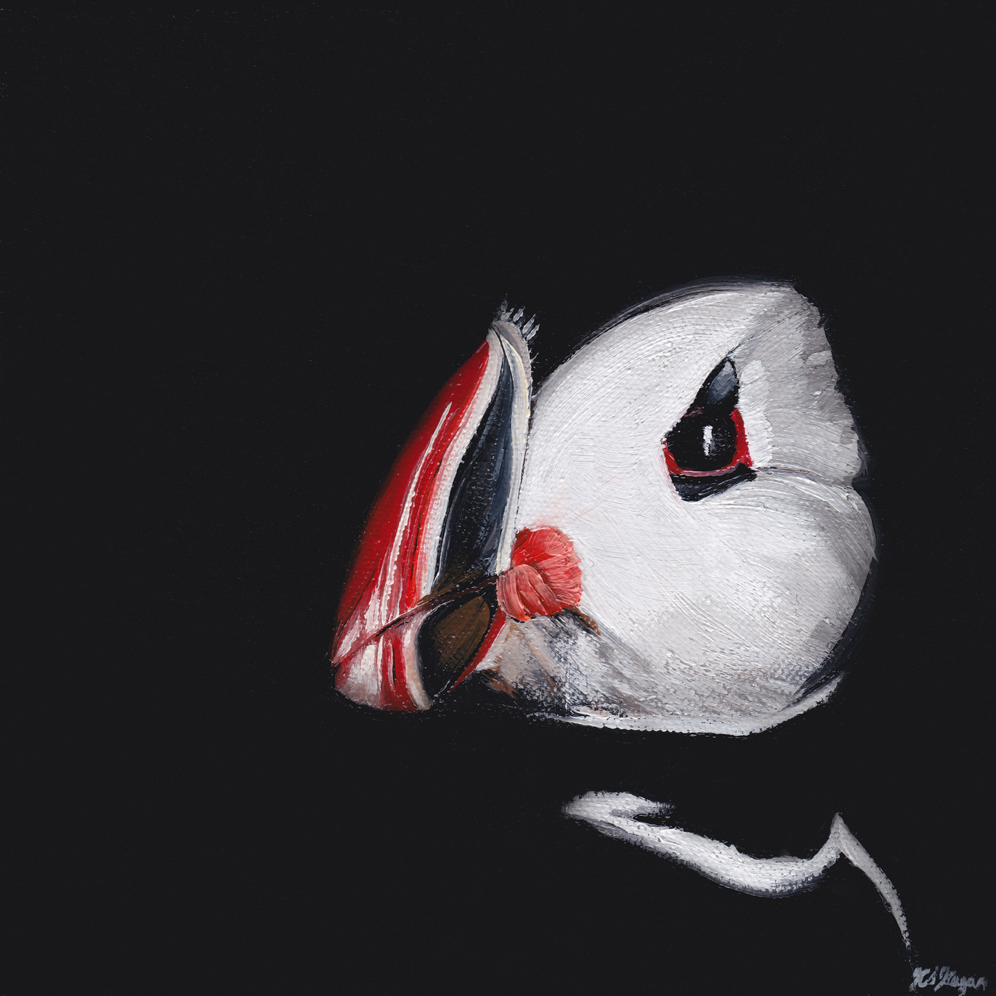 Puffin Profile No.2