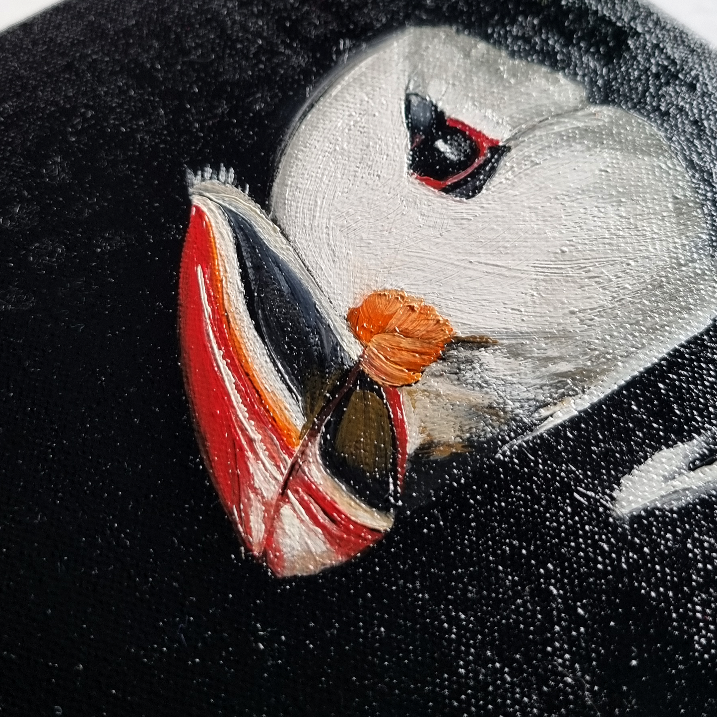 Puffin Profile No.2