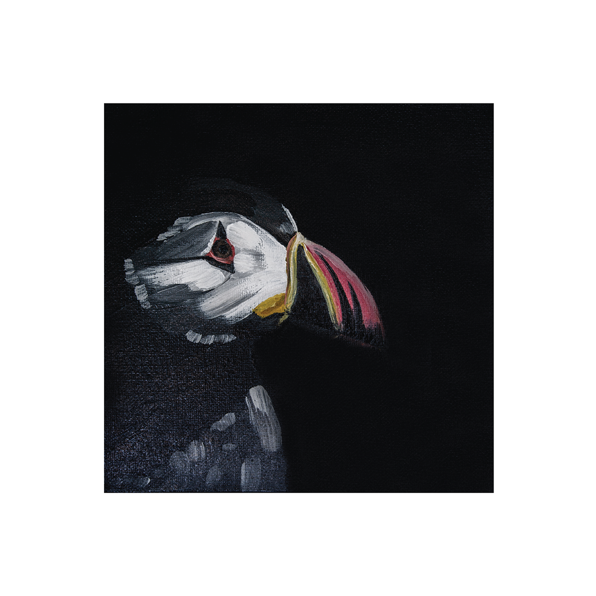 Puffin Profile Print